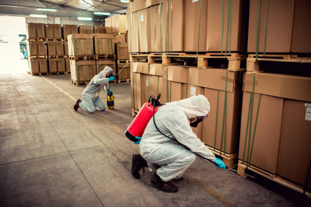 Best Best Pest Control Companies  in Chico, TX