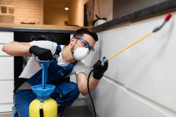 Best Commercial Pest Control Services  in Chico, TX