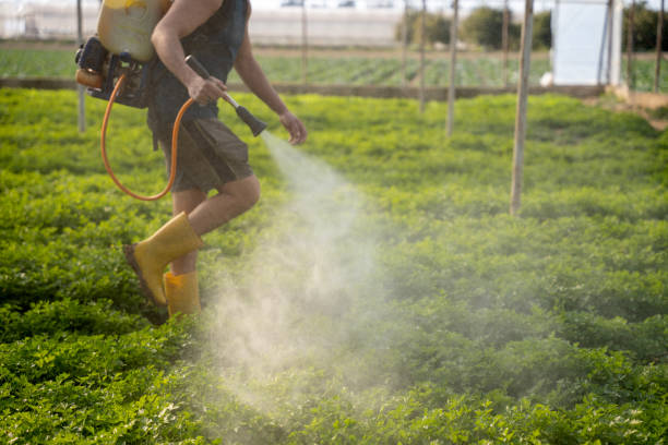 Wildlife Control Services in Chico, TX