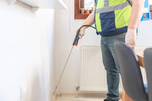 Best Local Pest Control Services  in Chico, TX