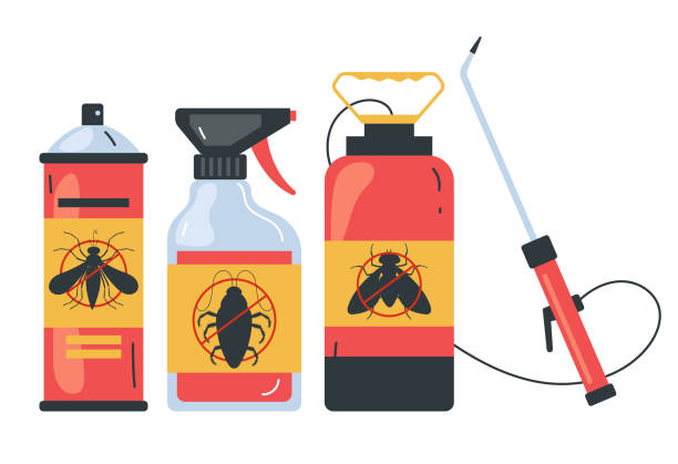 Best Ant Control Services  in Chico, TX